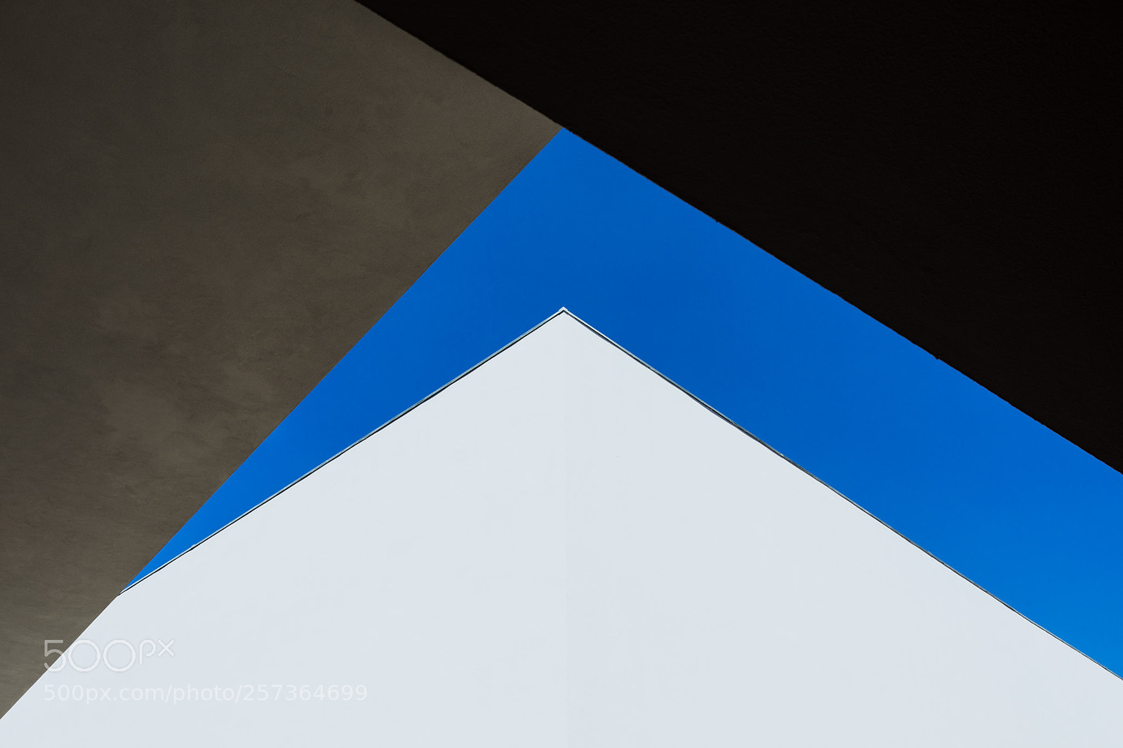 Canon EOS 5D Mark IV sample photo. Serralves museum #1 photography