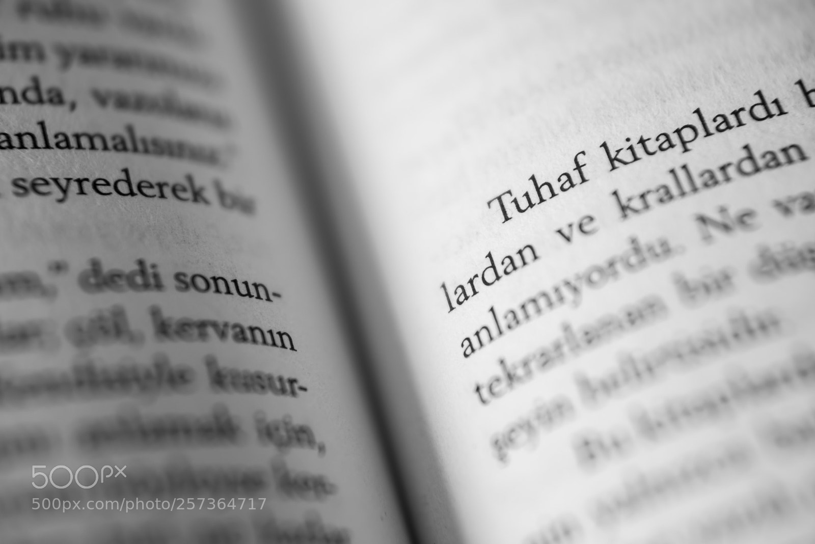 Nikon D750 sample photo. Tuhaf kitap photography