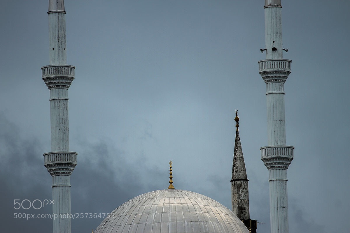Canon EOS 7D sample photo. Untitled photography