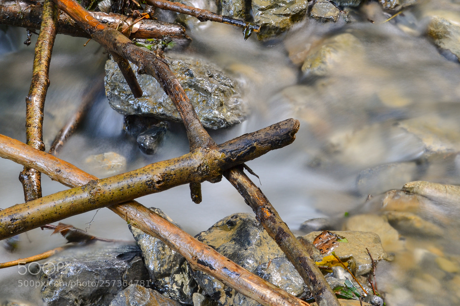 Nikon D3100 sample photo. Untitled photography