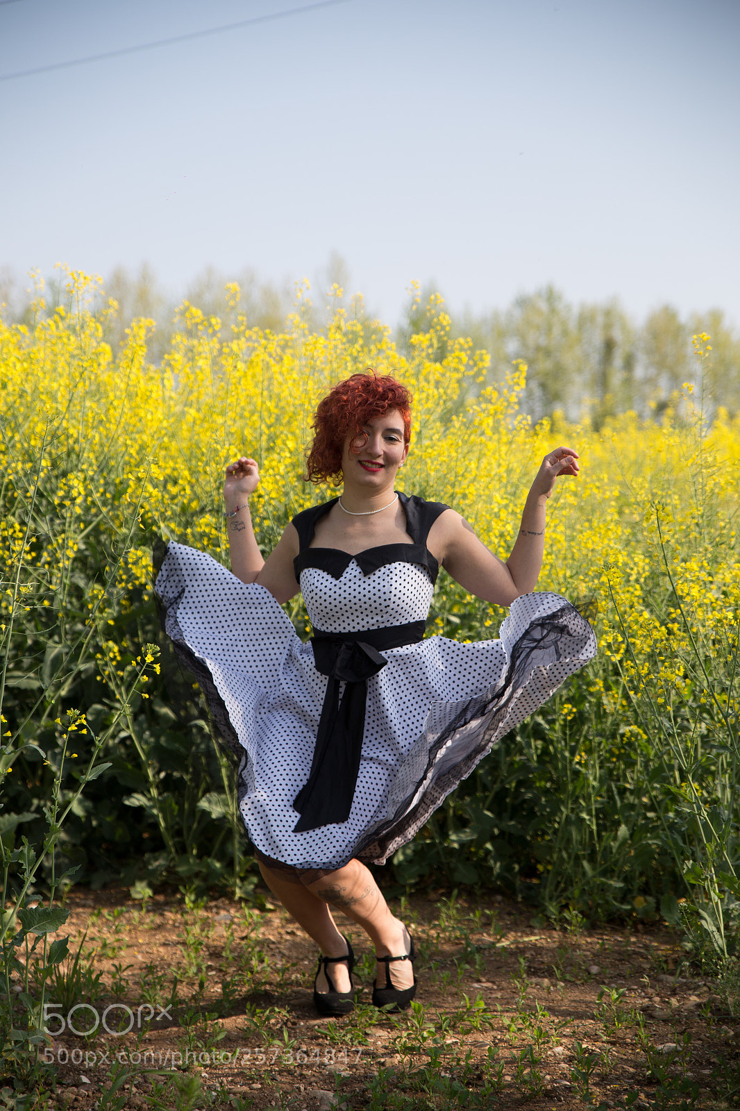 Canon EOS 6D sample photo. Untitled photography
