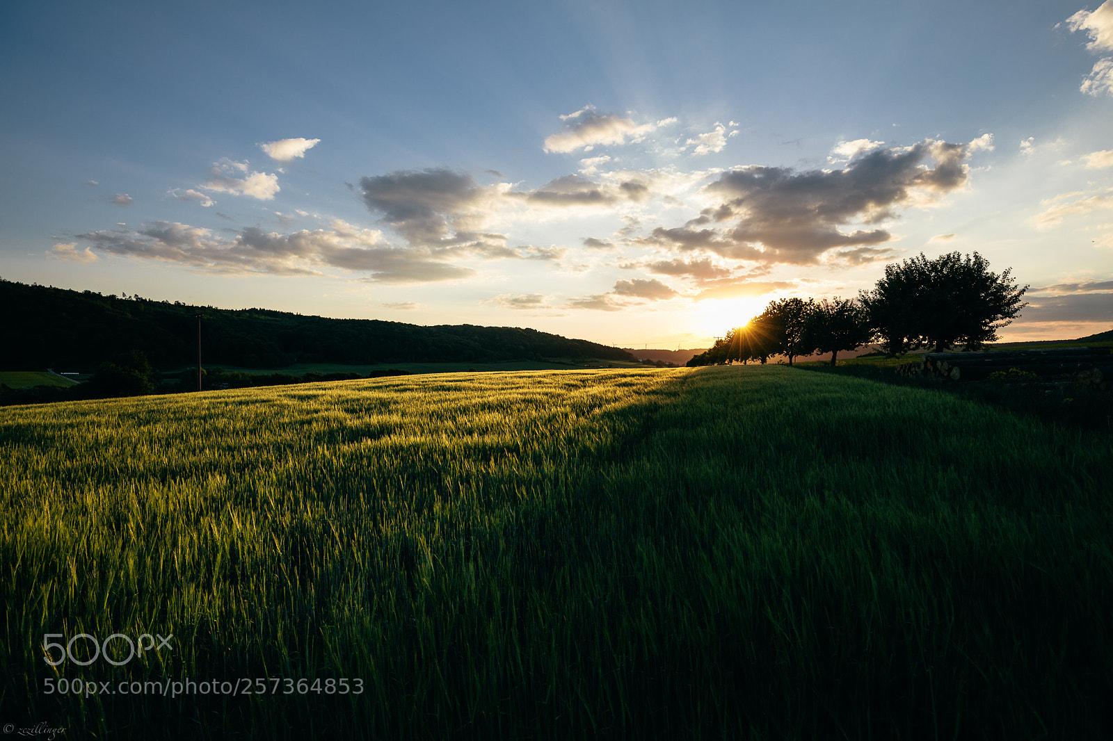 Canon EOS 5D Mark IV sample photo. Altmühltal, bayern, germany photography