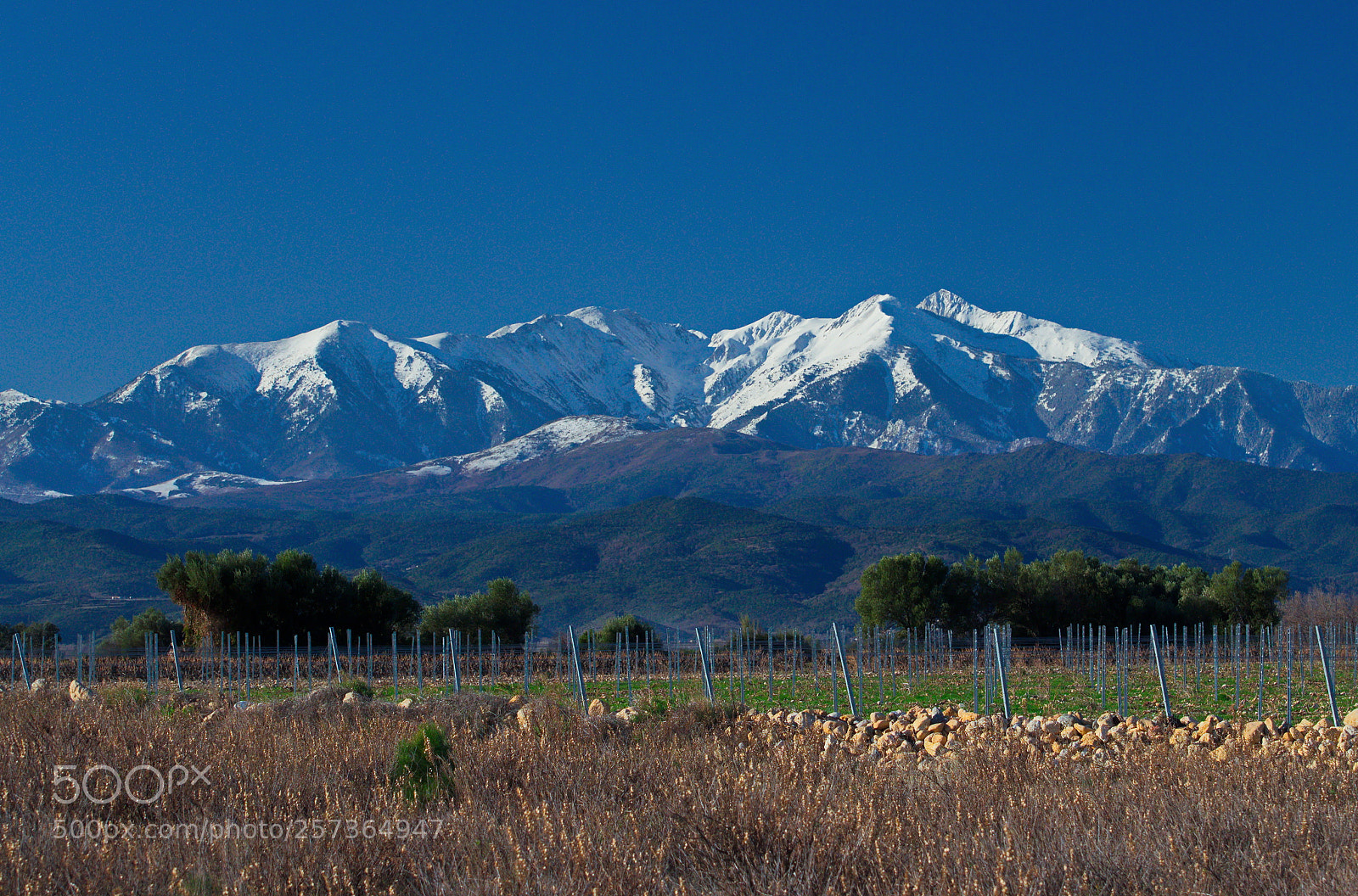 Nikon D7000 sample photo. Massif catalan photography