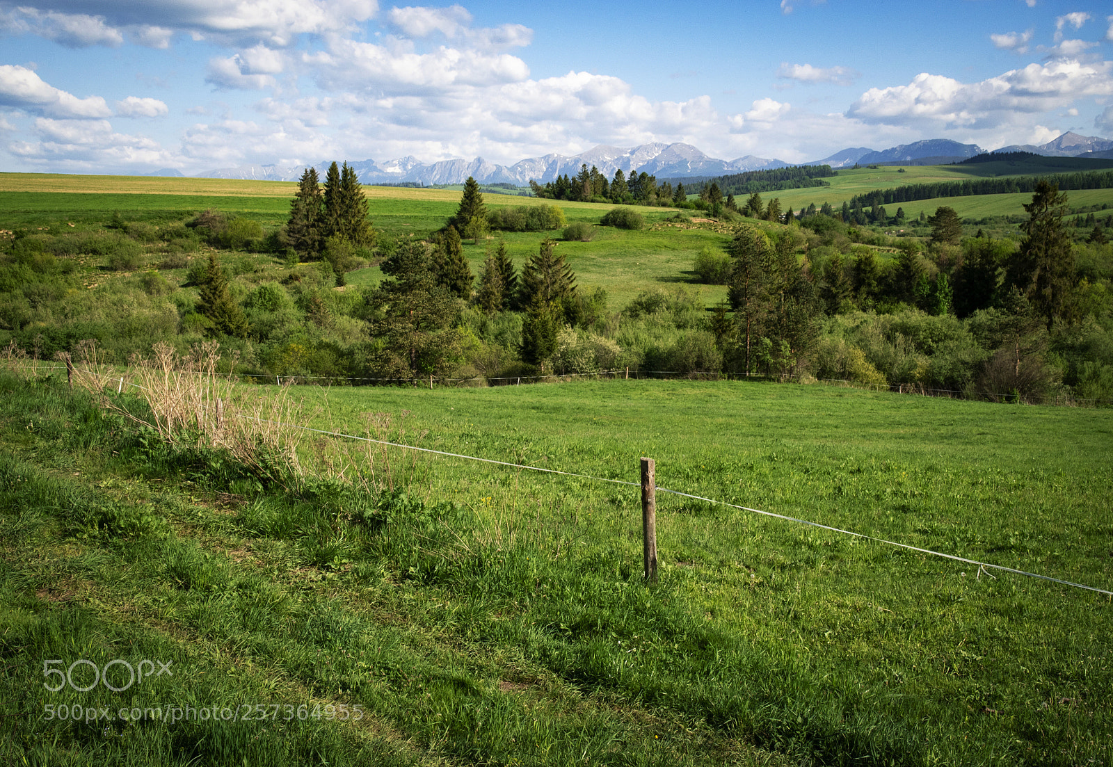 Nikon D5500 sample photo. Mountain scenery with meadows photography