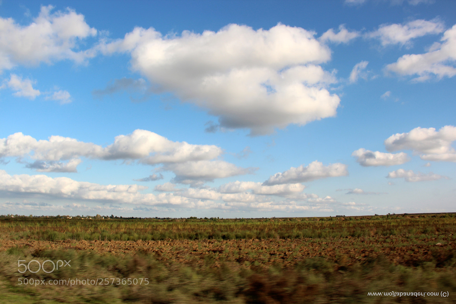 Canon EOS 600D (Rebel EOS T3i / EOS Kiss X5) sample photo. Mugan plain photography