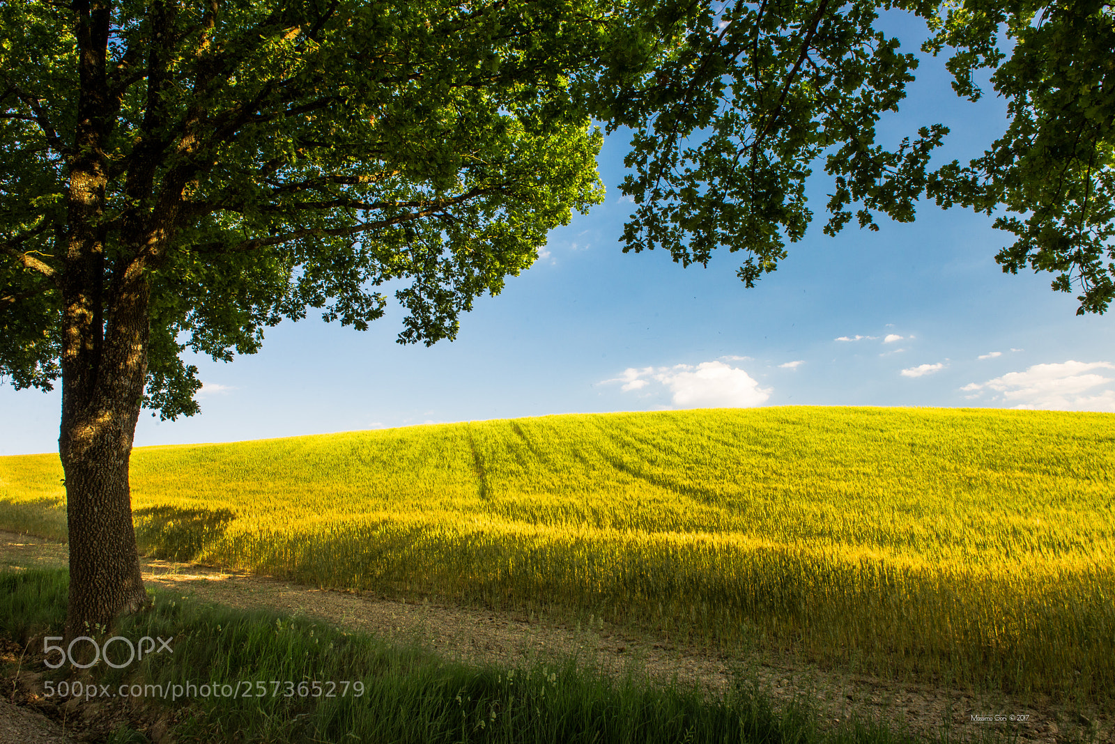 Nikon D610 sample photo. Val d'orcia photography