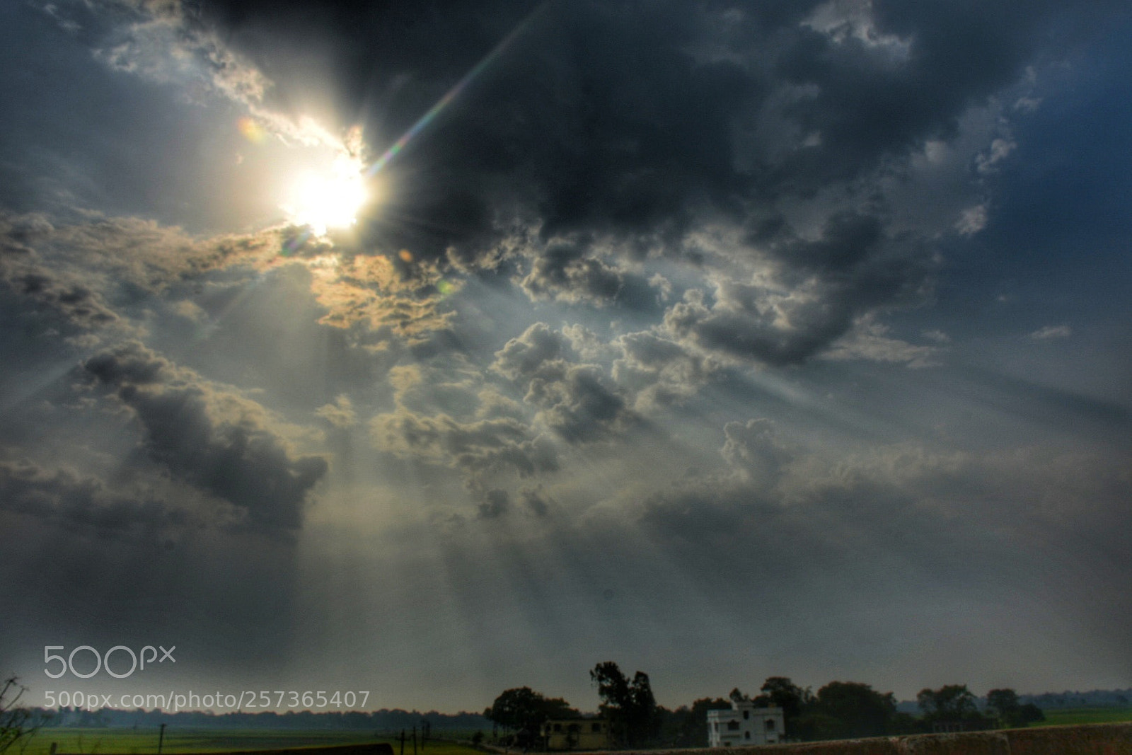 Nikon D7200 sample photo. Untitled photography
