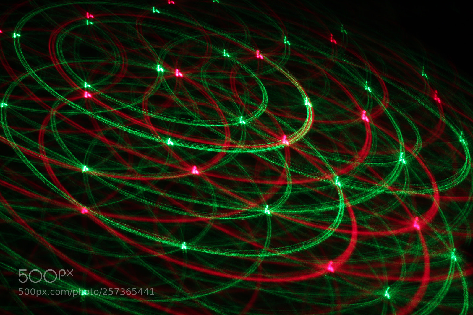 Canon EOS 1300D (EOS Rebel T6 / EOS Kiss X80) sample photo. Orchestra of colors photography