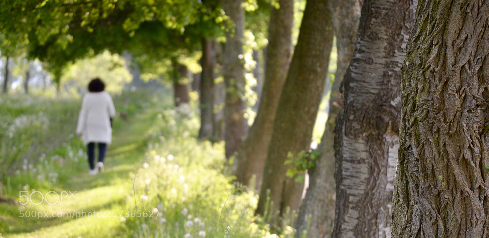 Nikon D7000 sample photo. Heuvelland photography