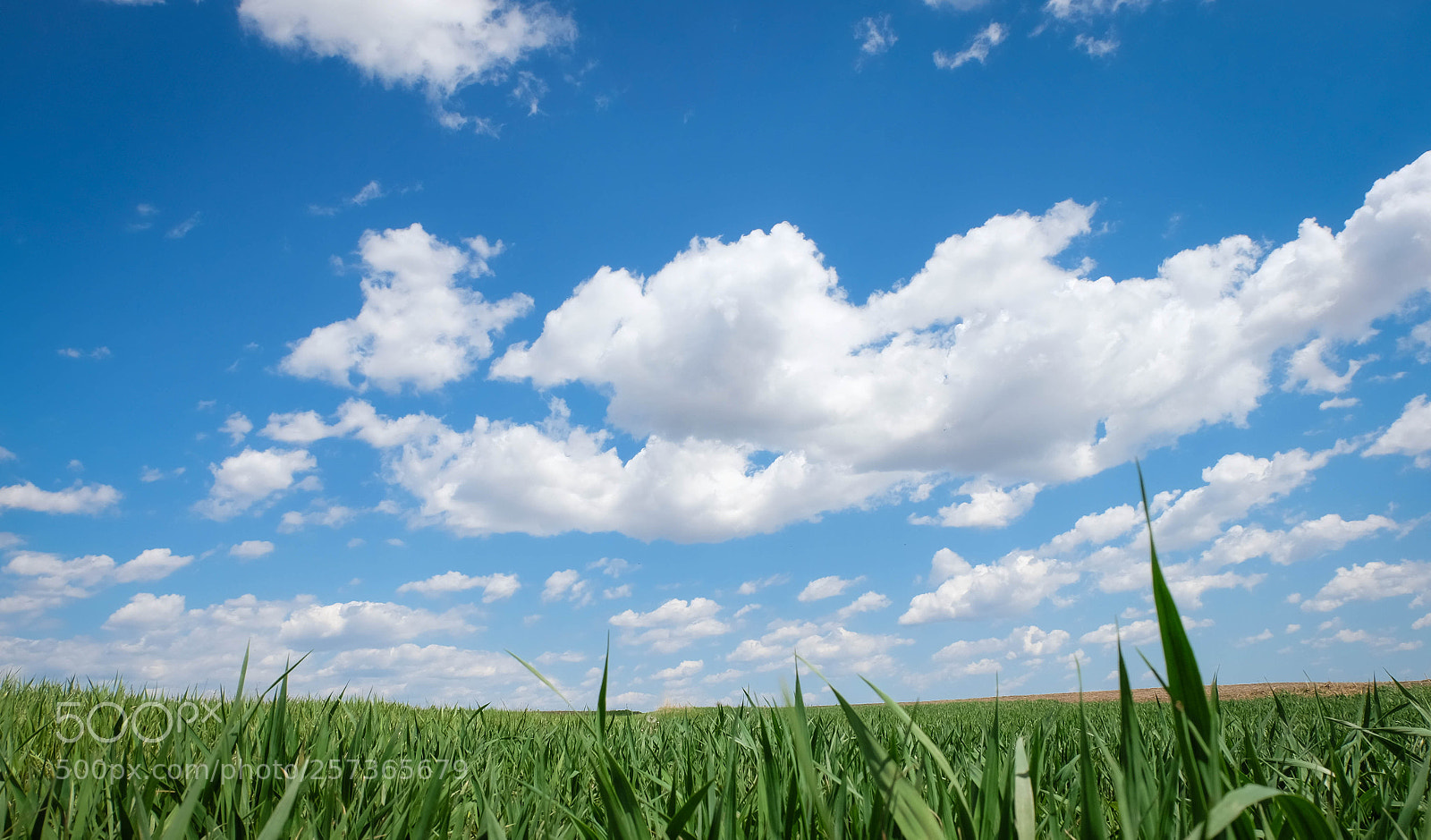 Fujifilm X-T10 sample photo. Clouds1 photography