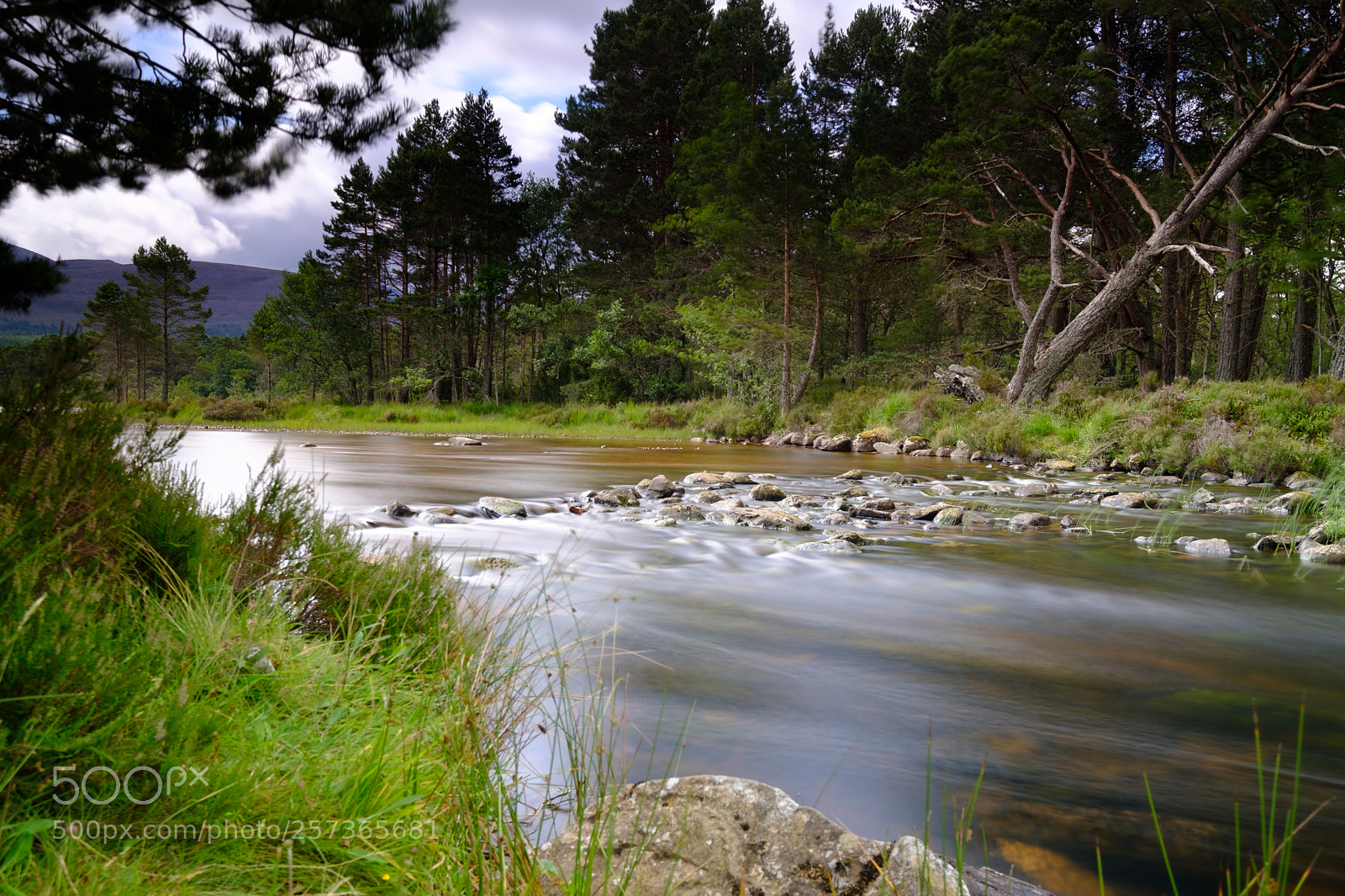 Fujifilm X-T2 sample photo. Loch morlich photography