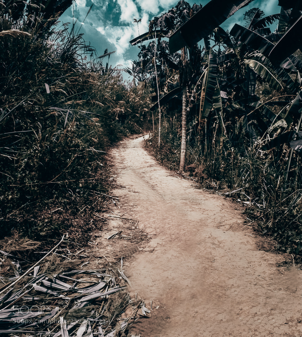 Nikon D5600 sample photo. Trust in god. we photography