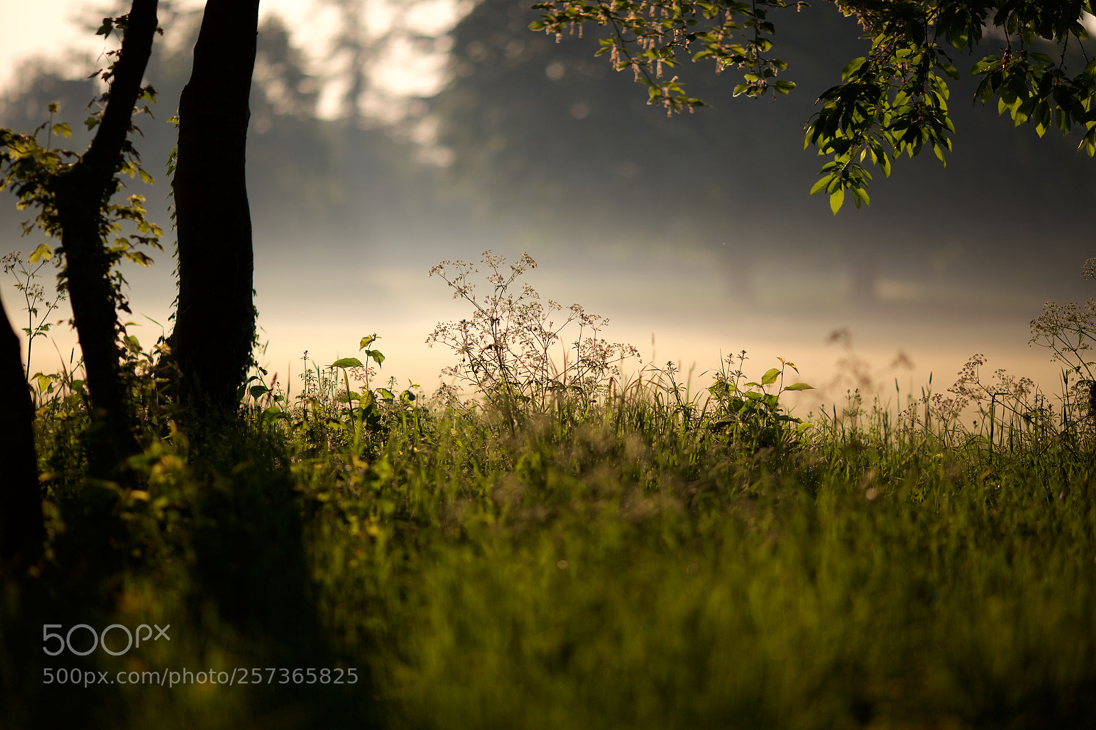 Canon EOS 6D sample photo. Summer attitude photography