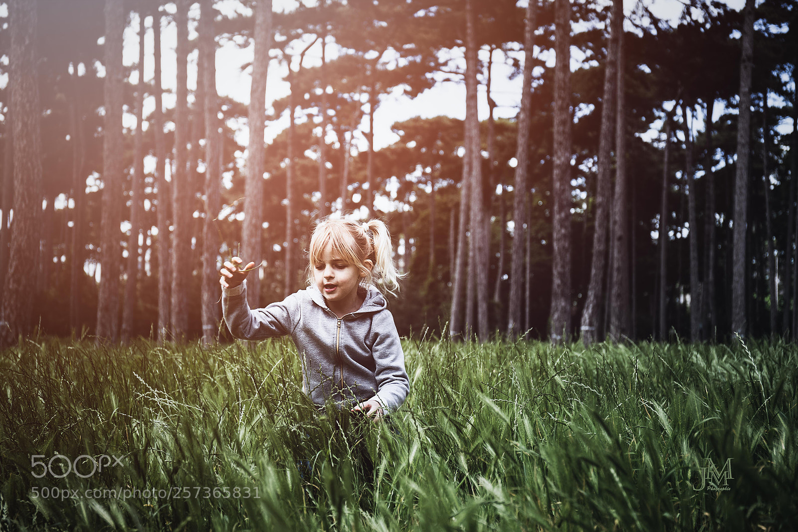 Canon EOS 6D sample photo. Courir dans les bois! photography