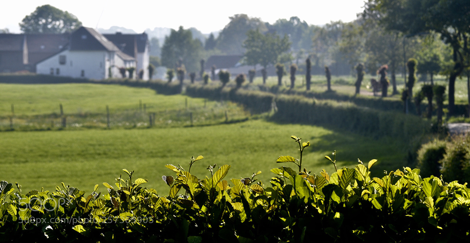 Nikon D7000 sample photo. Libeek photography