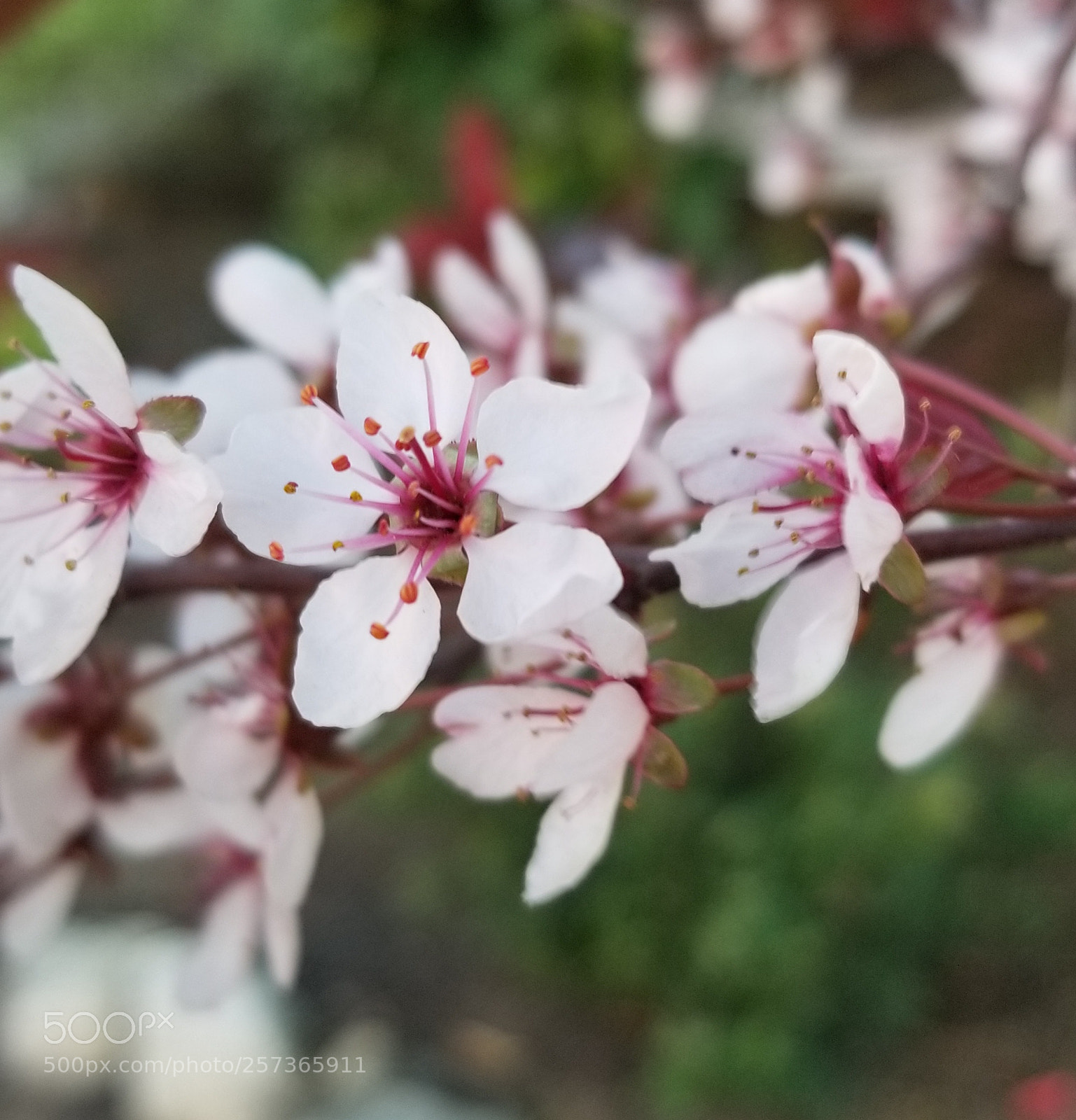 Samsung Galaxy S8 sample photo. Untitled photography