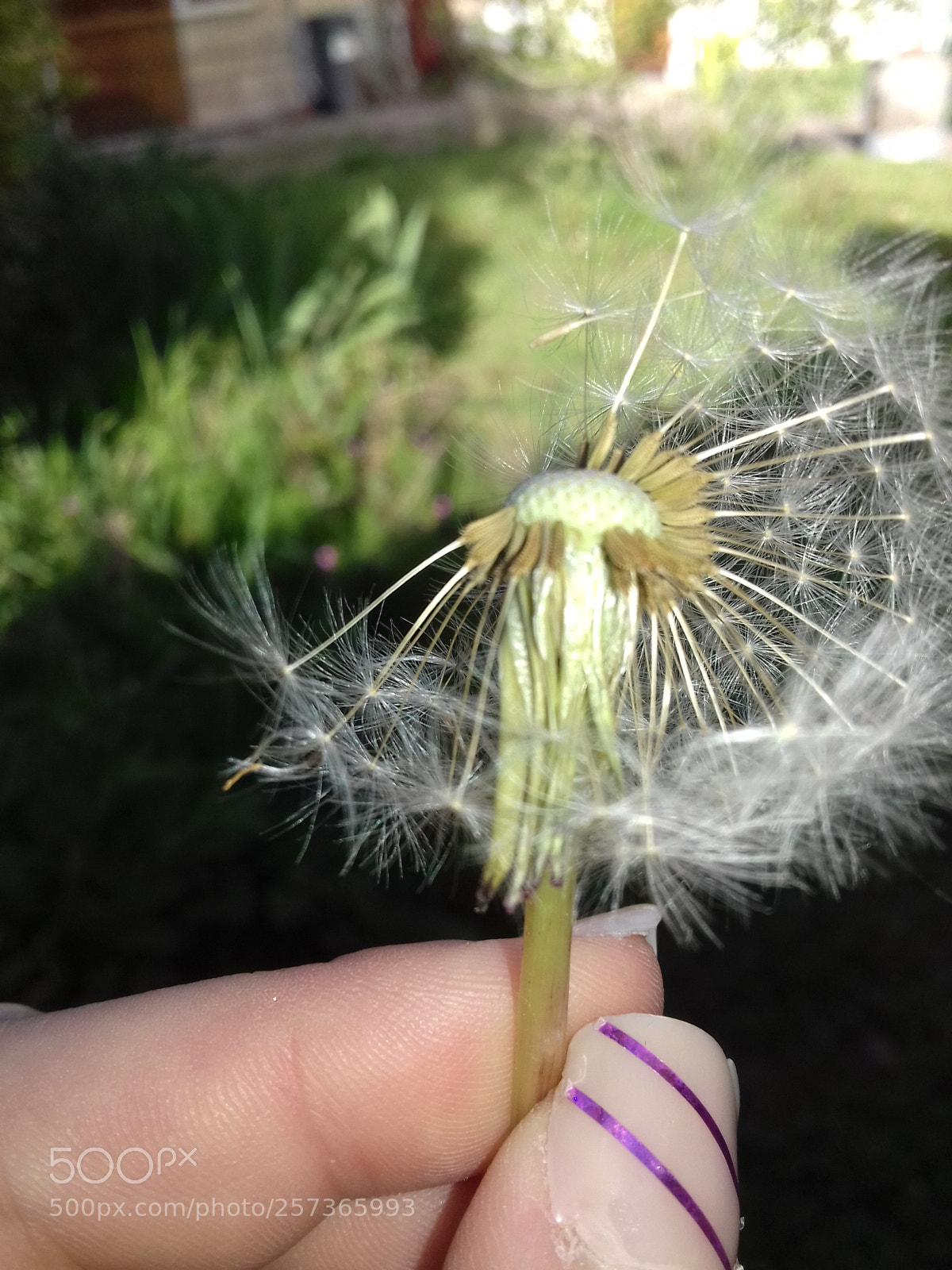Samsung Galaxy J3(2016) sample photo. ? photography