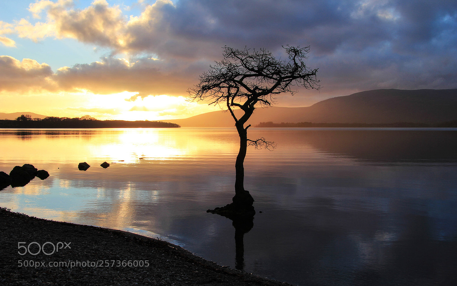 Canon EOS 60D sample photo. The much photographed tree photography