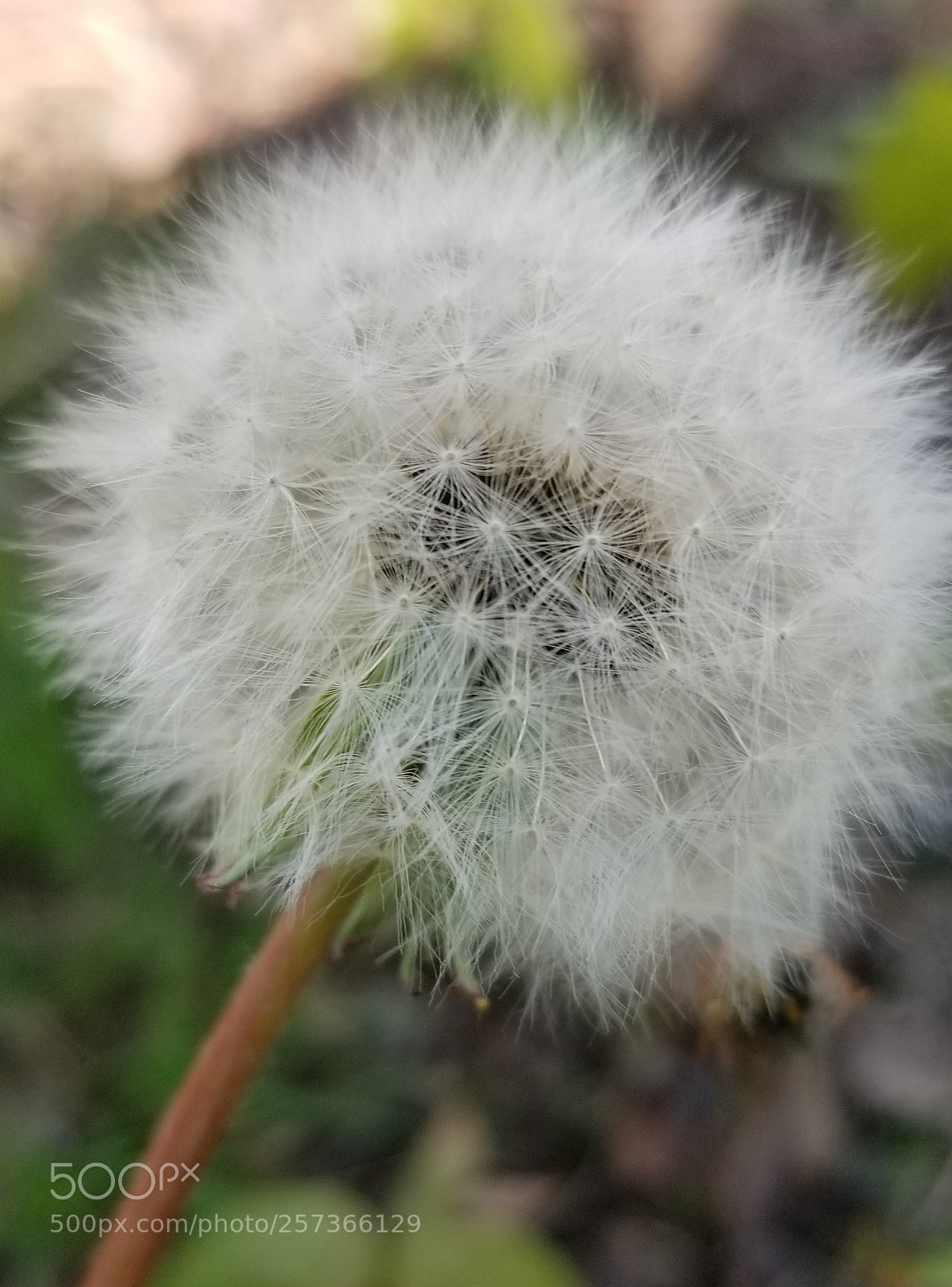 Samsung Galaxy S8 sample photo. Untitled photography