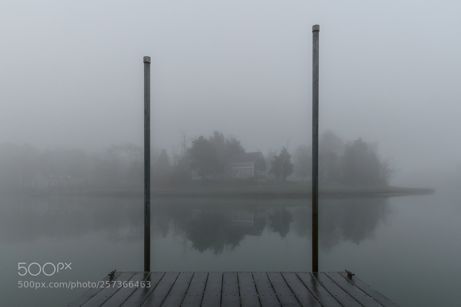 Nikon D850 sample photo. Foggy morning at the photography