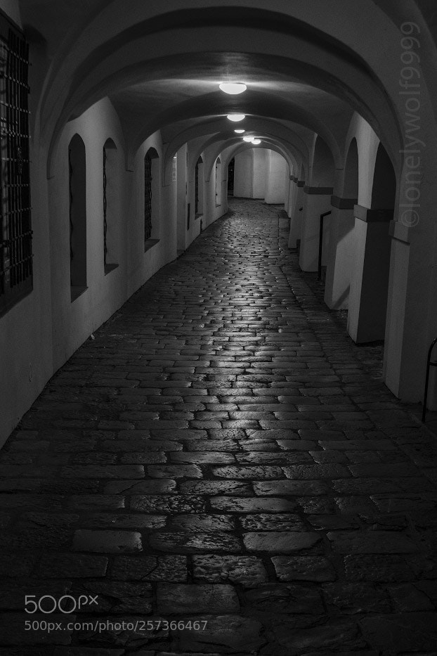 Canon EOS 550D (EOS Rebel T2i / EOS Kiss X4) sample photo. Night passage photography
