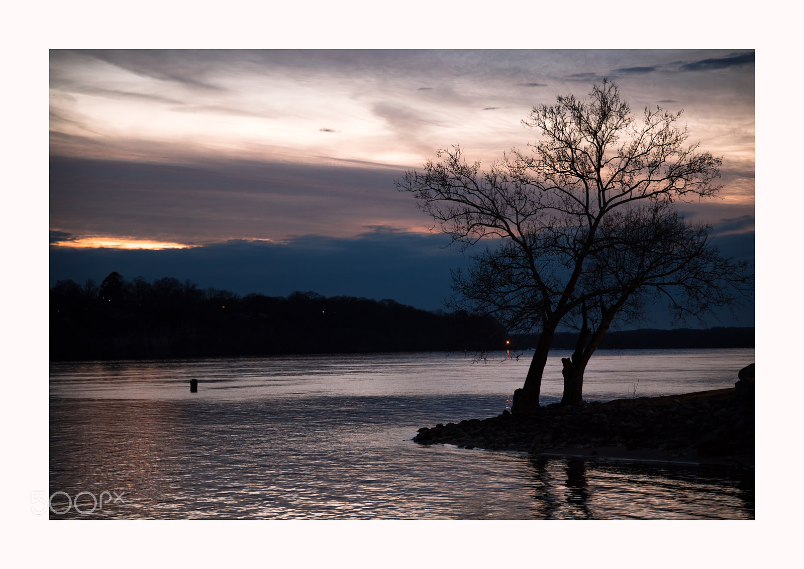 Nikon D750 sample photo. Untitled photography