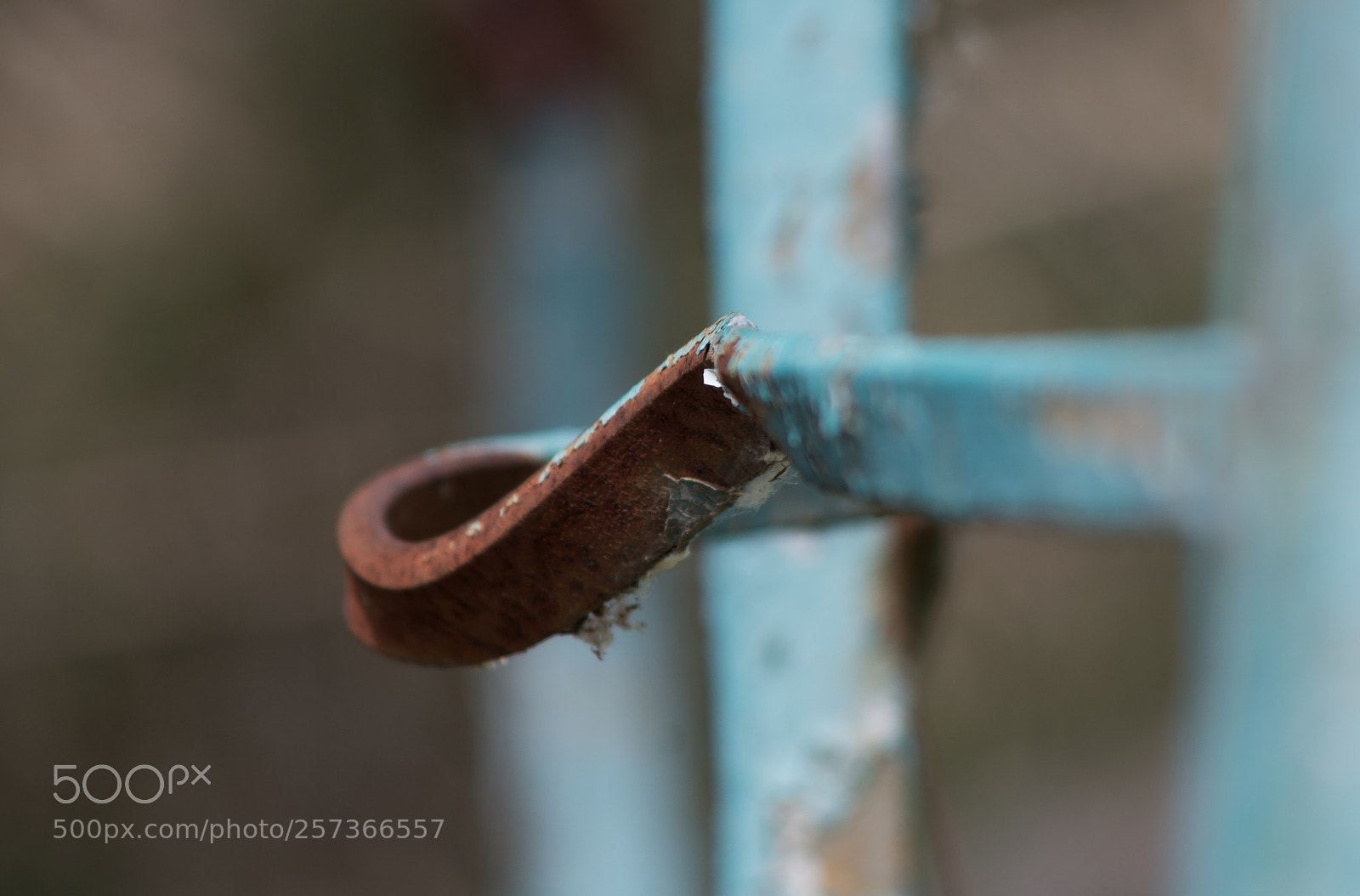 Pentax K-5 II sample photo. Tout va de travers photography