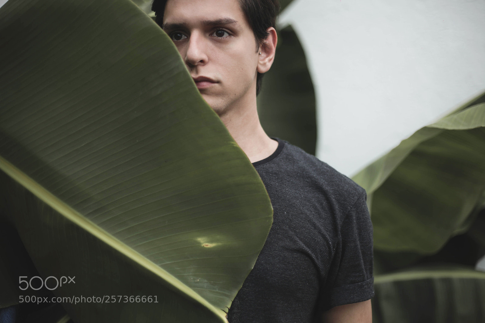 Canon EOS 5D Mark II sample photo. Untitled photography