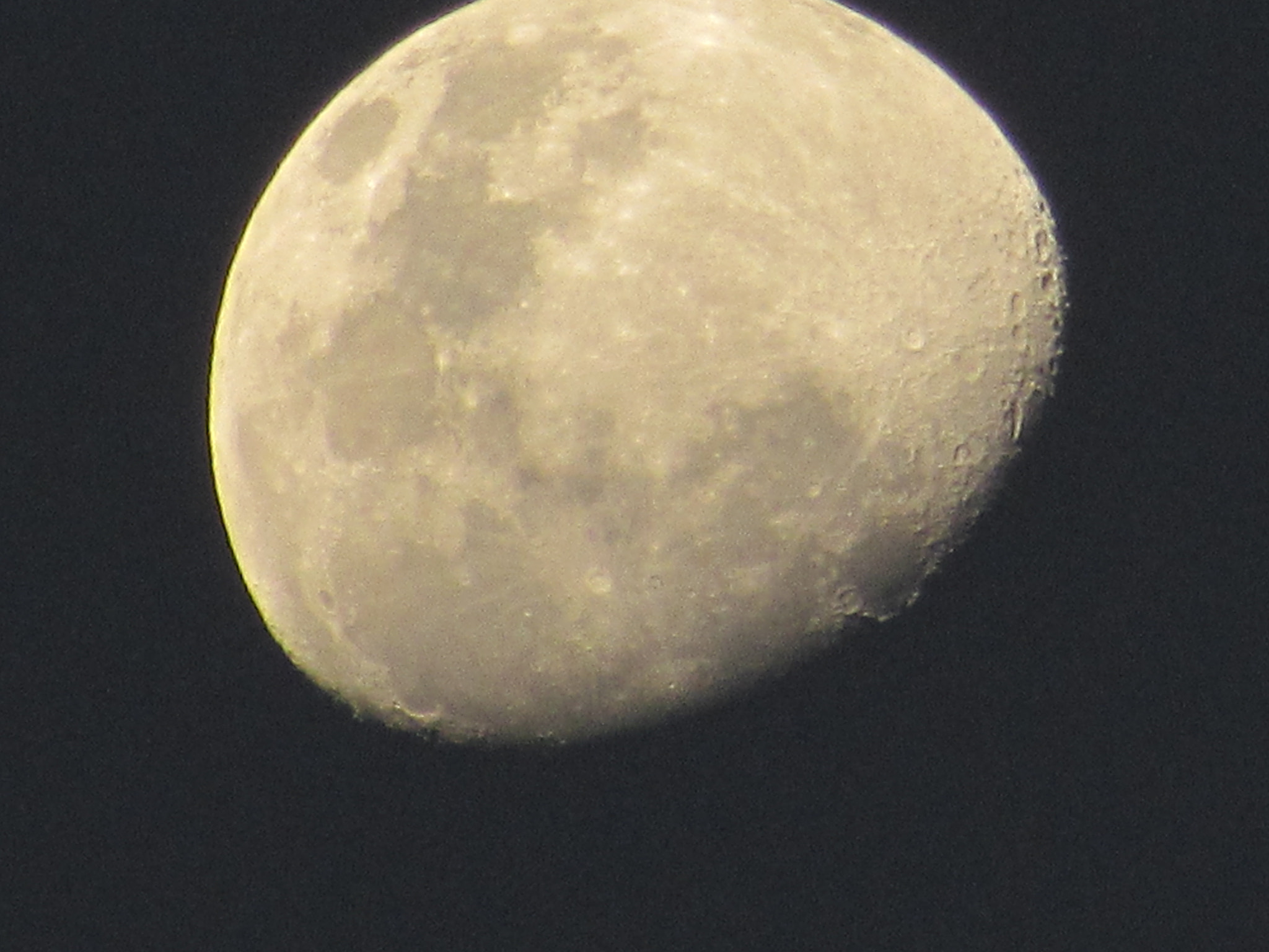 Canon PowerShot SX510 HS sample photo