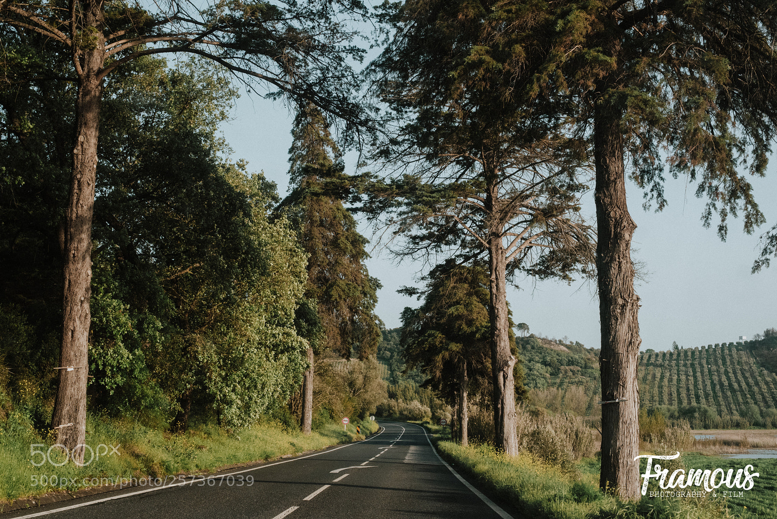 Nikon D750 sample photo. The beauty of ribatejo photography