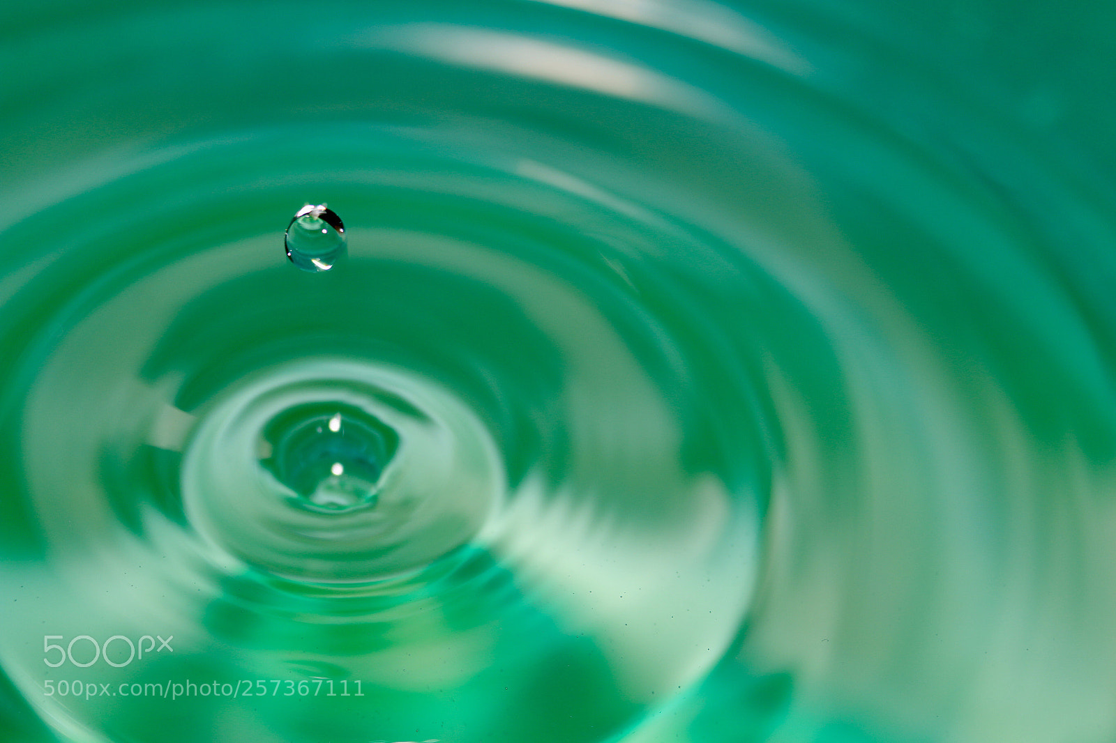 Canon EOS 70D sample photo. Waterdrop photography