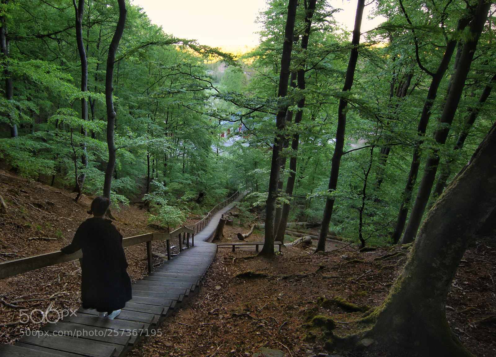 Canon EOS 50D sample photo. Stairway photography