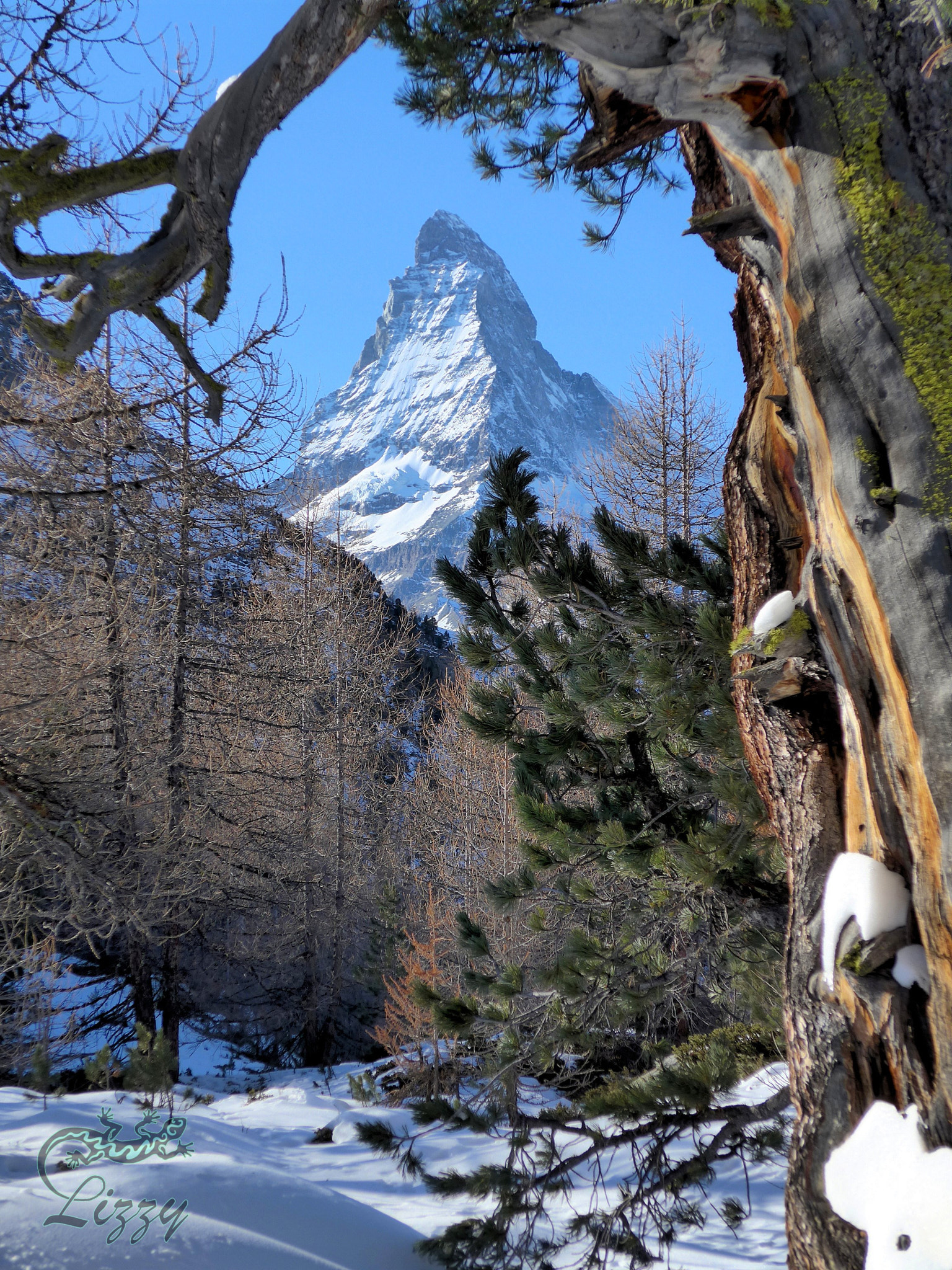 Panasonic Lumix DMC-LF1 sample photo. Blick auf's matterhorn photography