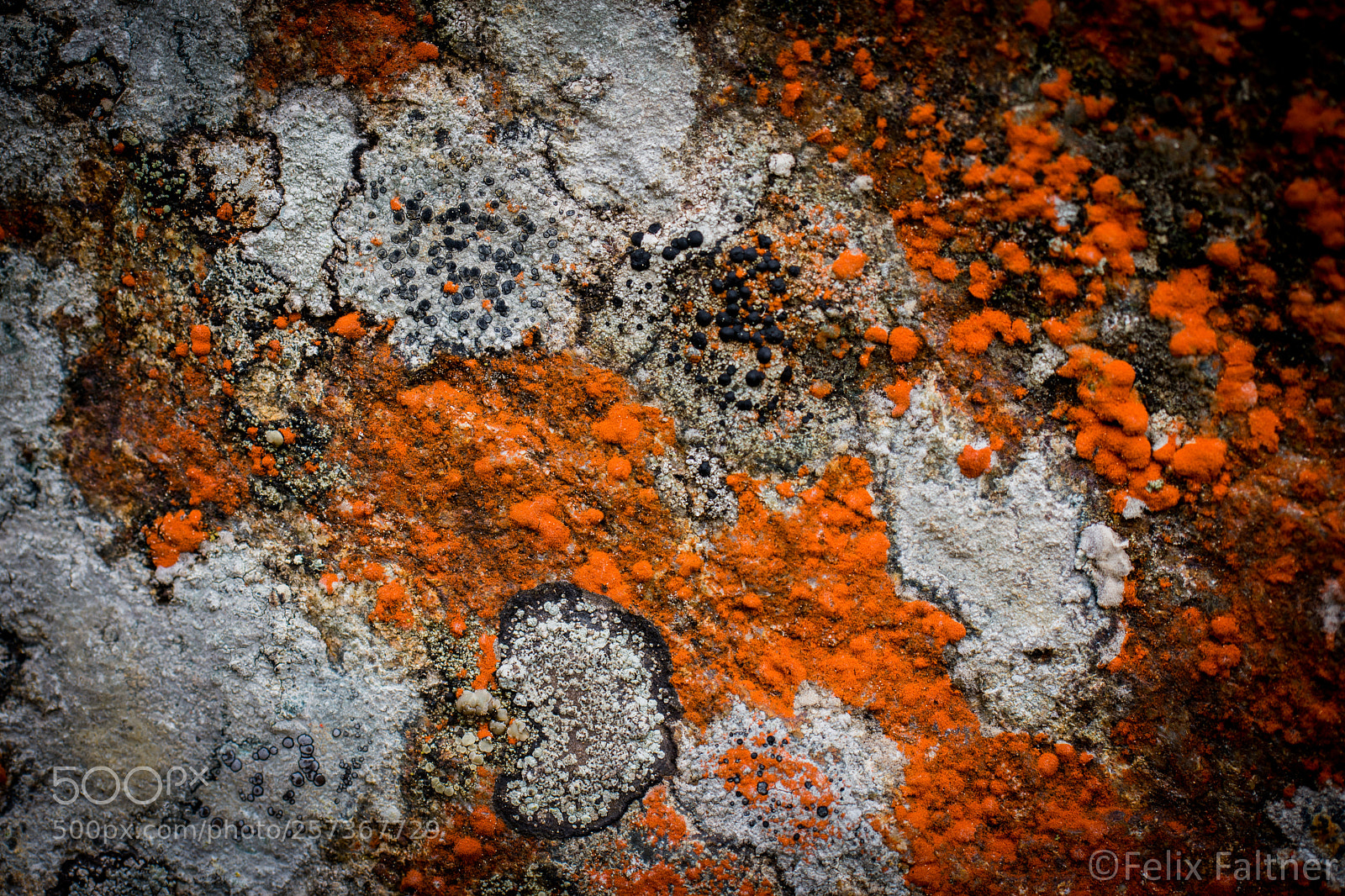 Nikon D7200 sample photo. The stonemap photography