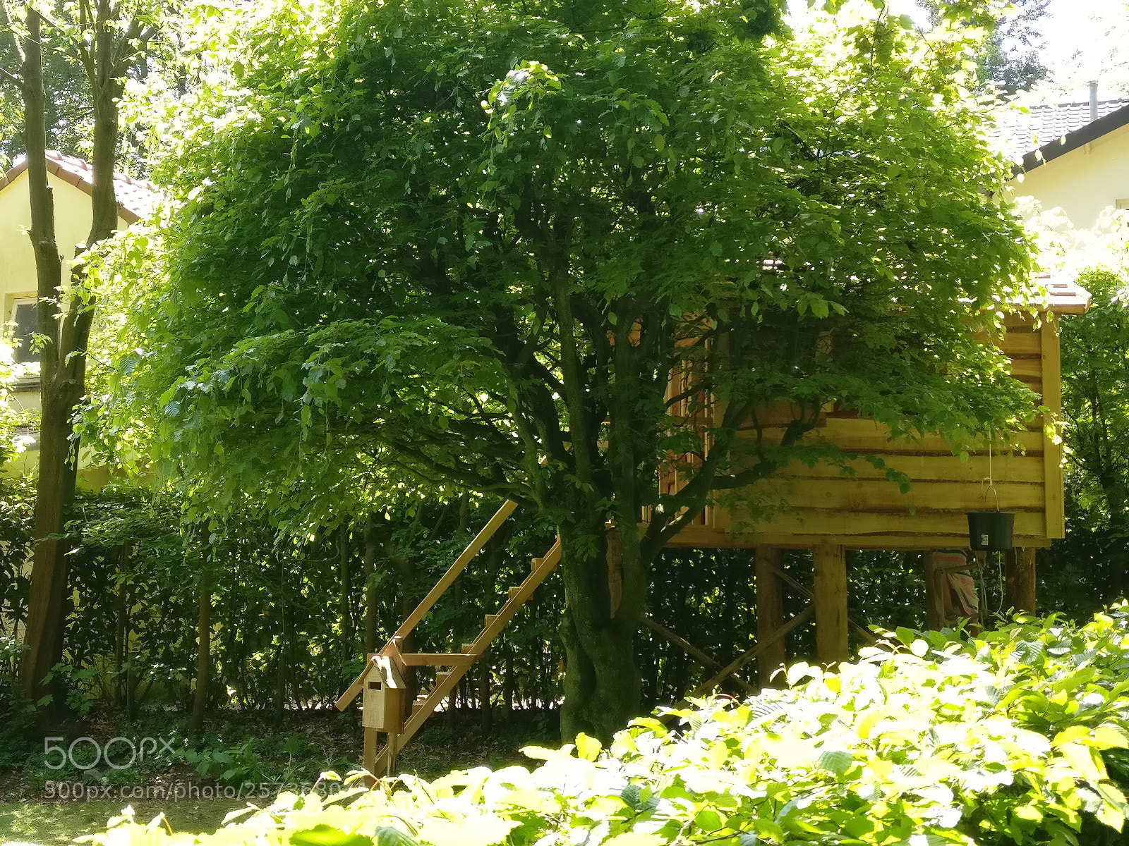 OnePlus A3003 sample photo. Apeldoorn ii photography