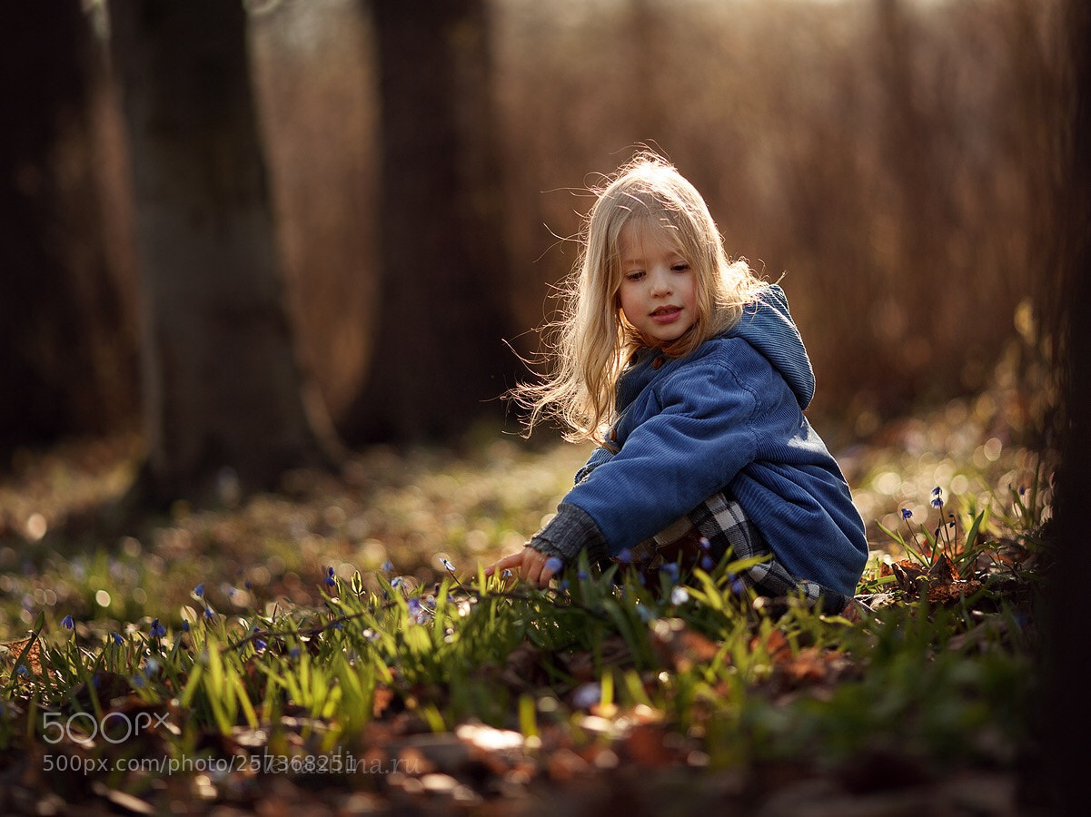 Canon EOS 5D Mark II sample photo. Untitled photography