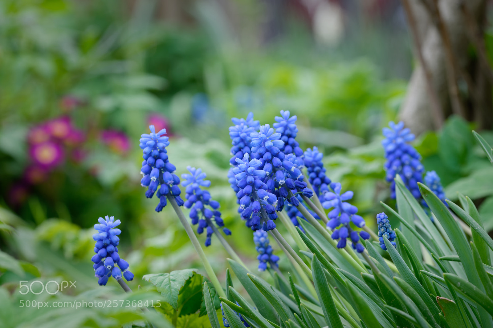 Nikon D5500 sample photo. 7312 photography