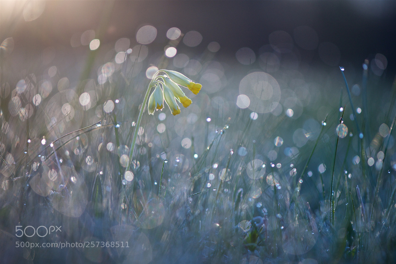 Nikon D810 sample photo. Beginning of day. photography