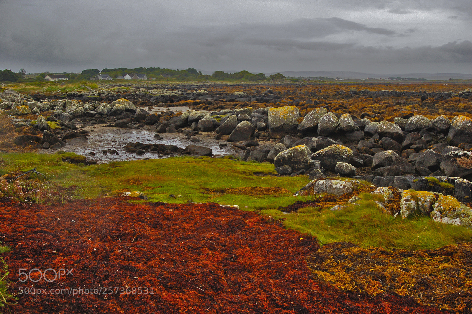 Nikon D50 sample photo. Connemara photography