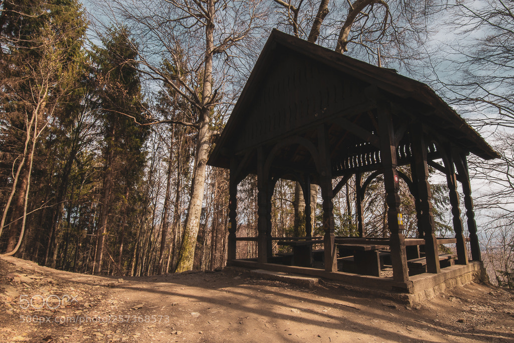 Nikon D3300 sample photo. Shelter photography