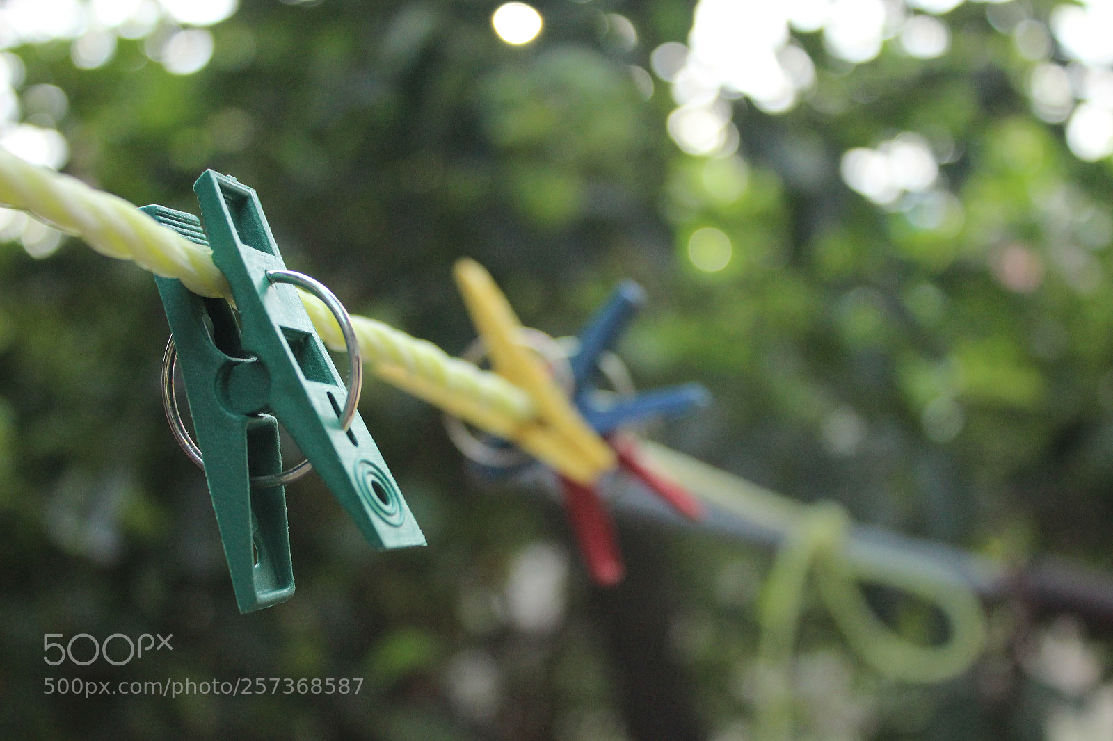 Canon EOS 600D (Rebel EOS T3i / EOS Kiss X5) sample photo. Hold on photography