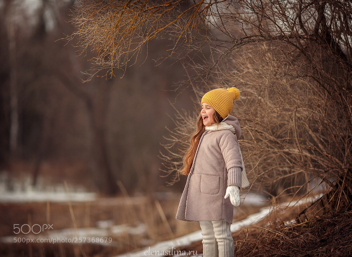Canon EOS 5D Mark II sample photo. Untitled photography