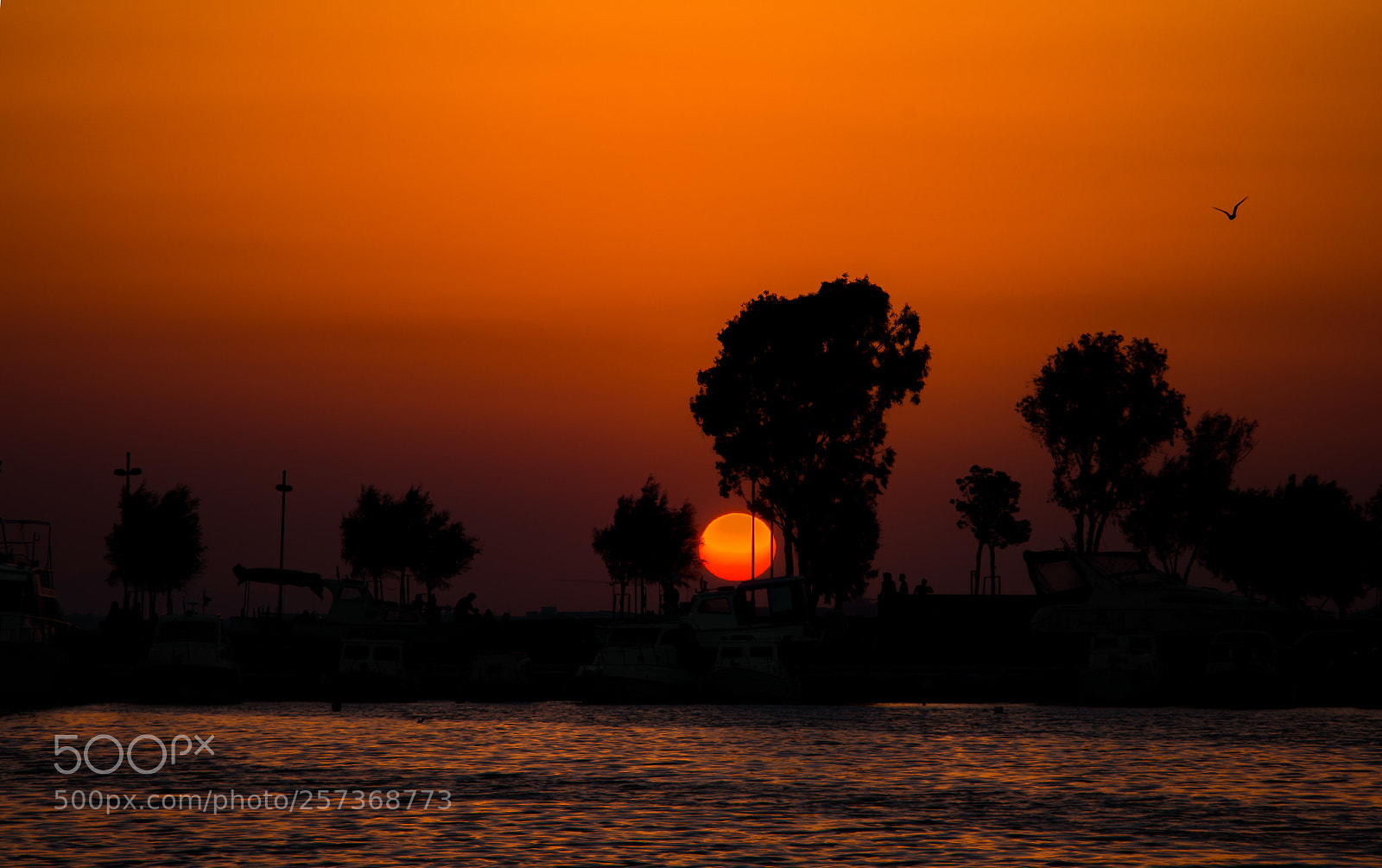 Canon EOS 700D (EOS Rebel T5i / EOS Kiss X7i) sample photo. Amazing sunset photography