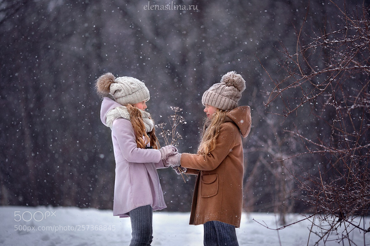 Canon EOS 5D Mark II sample photo. Untitled photography