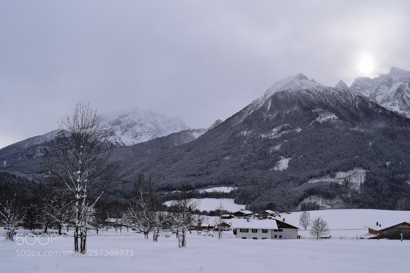Nikon D3300 sample photo. Winterwonderland photography