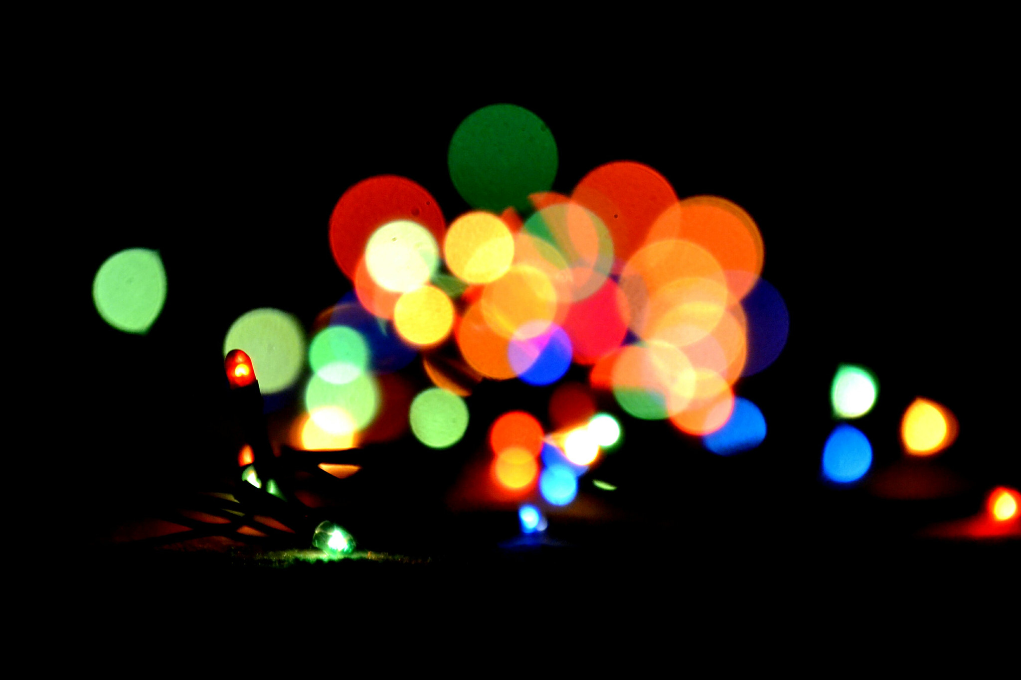 Nikon D3100 sample photo. Bokeh photography