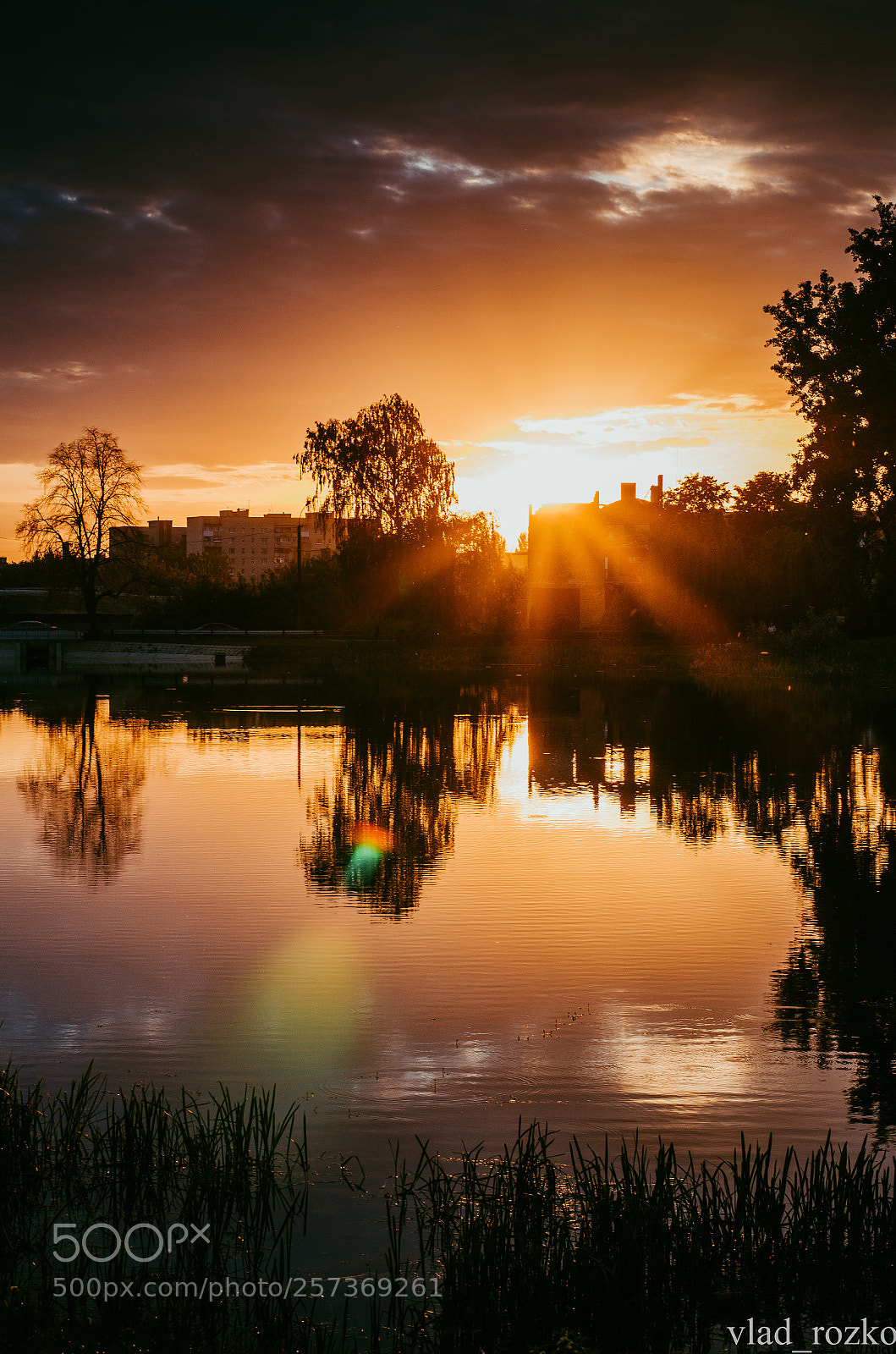 Nikon D7000 sample photo. Untitled photography