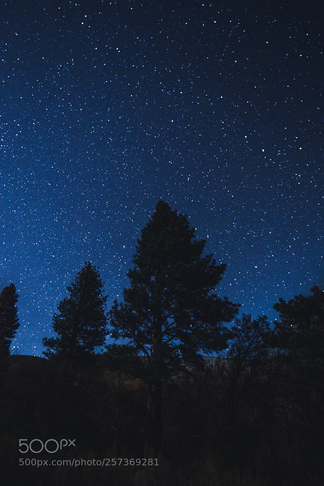 Canon EOS 6D sample photo. Ursa photography