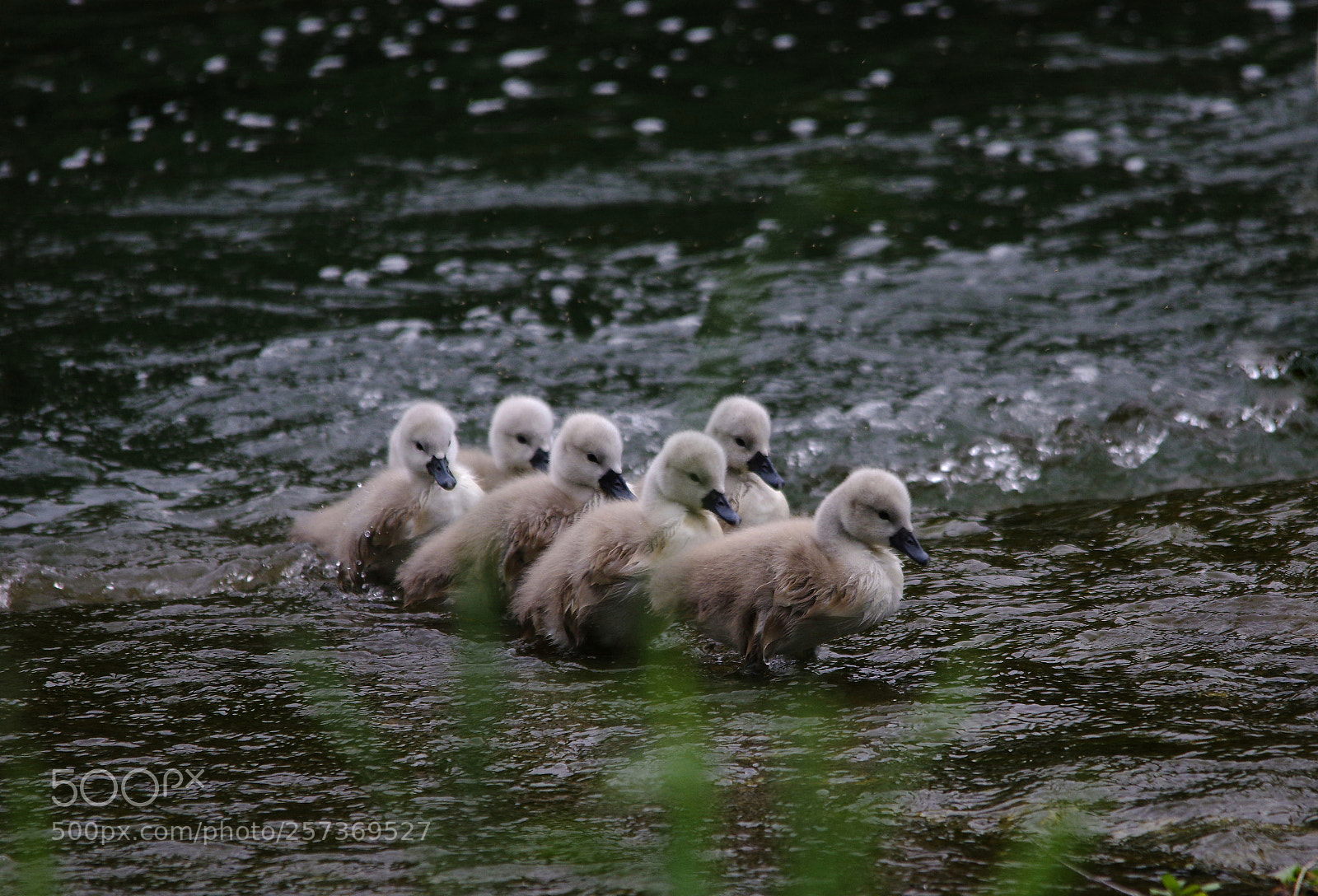 Pentax K-3 sample photo. ??????... photography