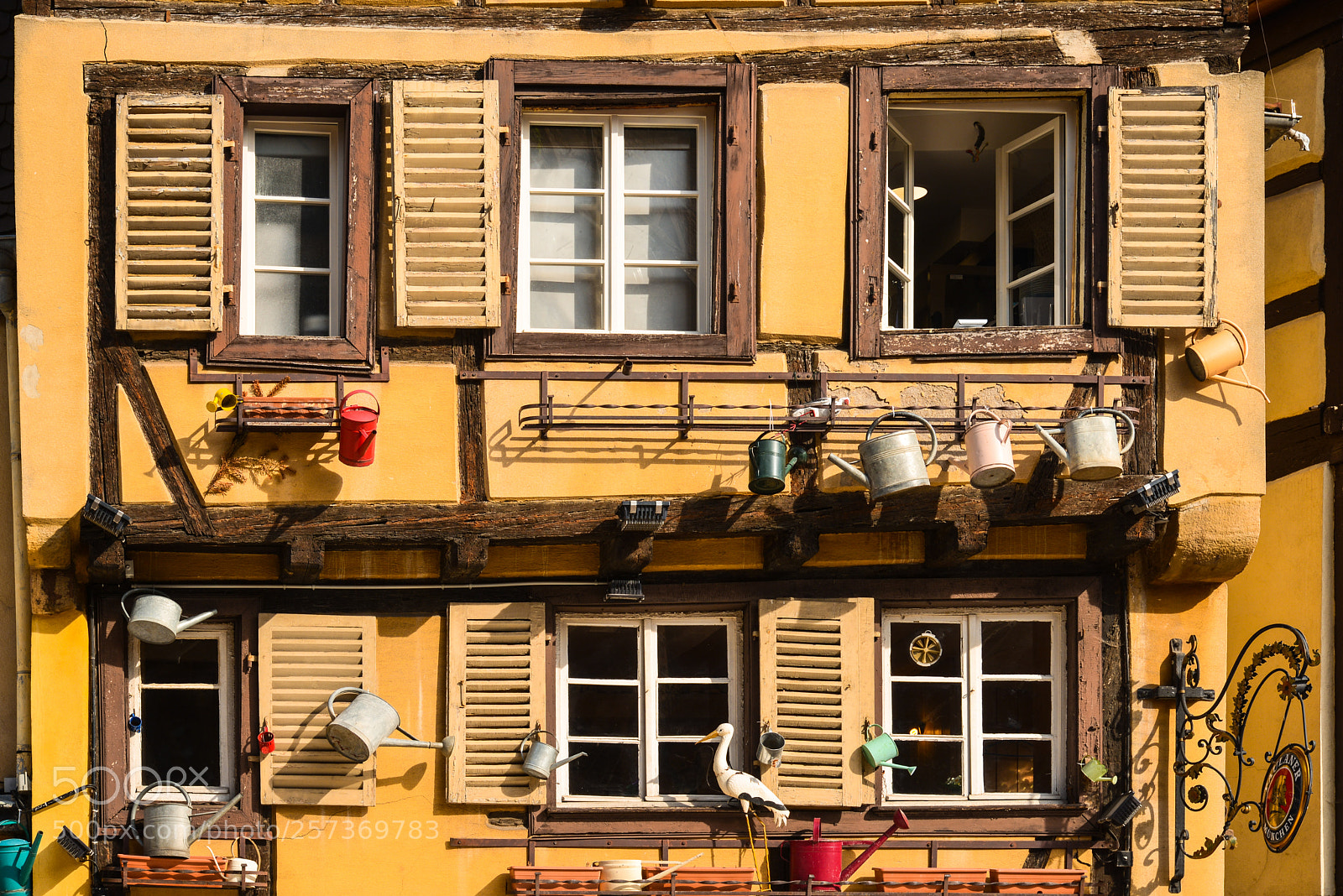 Nikon D610 sample photo. Flowering city; colmar photography